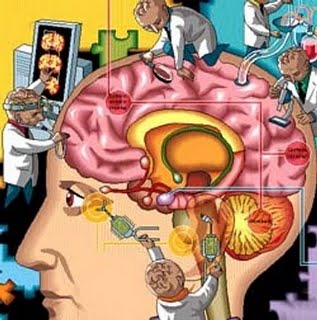 El cerebro